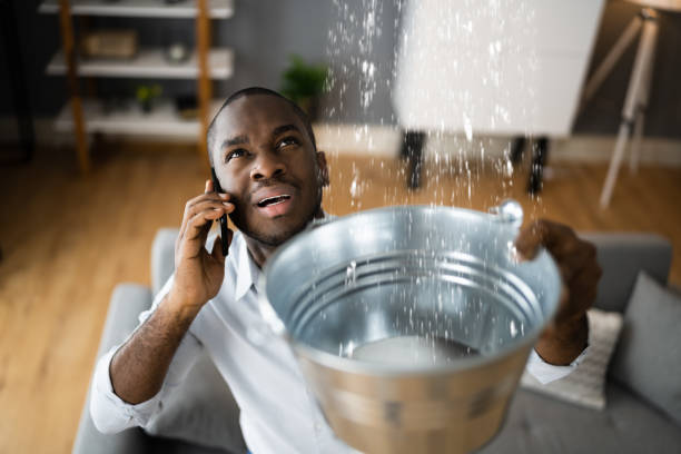 Best Water damage contractors near me  in Taneytown, MD