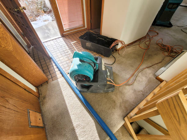 Best Water damage contractors near me  in Taneytown, MD