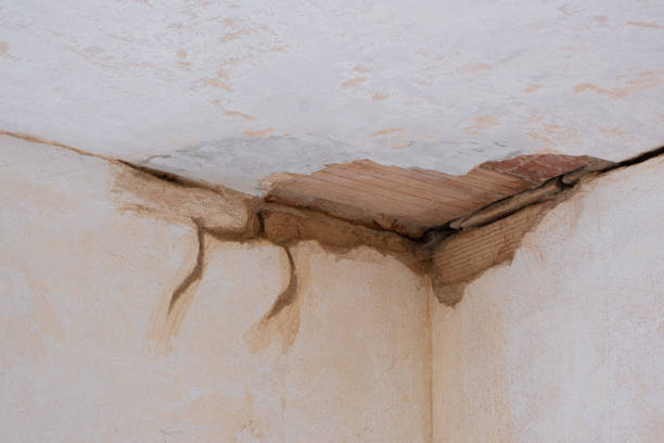 Best Flooded house restoration  in Taneytown, MD