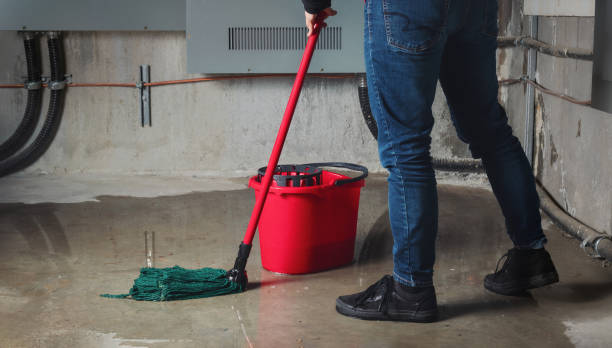 Best Ceiling water damage repair  in Taneytown, MD
