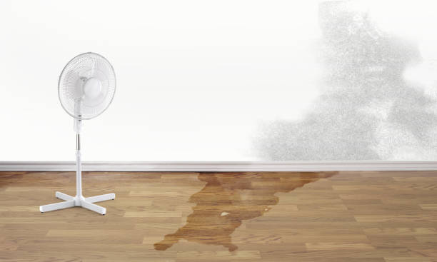 Professional Water damage restoration in Taneytown, MD