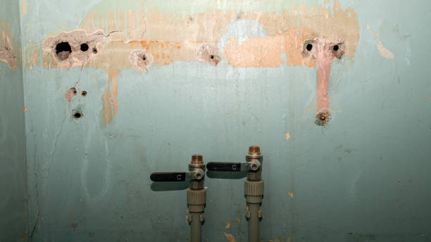 Best Water damage cleanup near me  in Taneytown, MD