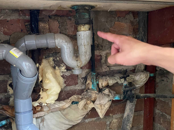 Best Mold removal after water damage  in Taneytown, MD