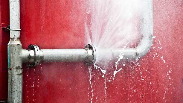 Best Flood restoration services  in Taneytown, MD