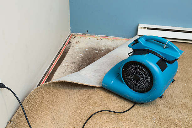 Best Water damage restoration specialists  in Taneytown, MD